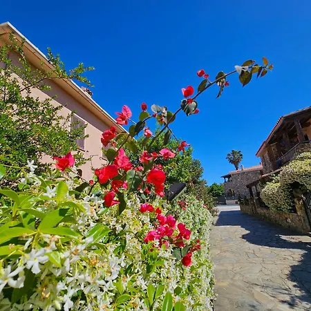 Apartment La Flabellina Blu