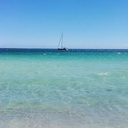 La Flabellina Blu Daire Porto Ottiolu
