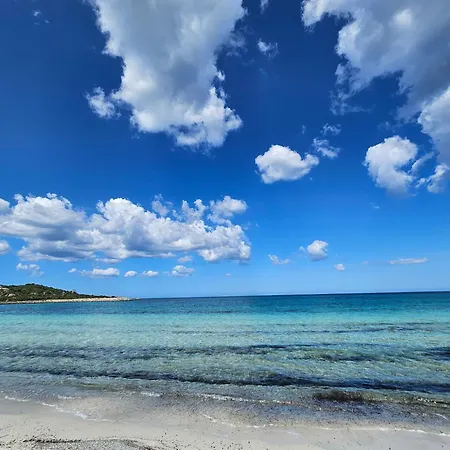 La Flabellina Blu * 포르토 오티올루