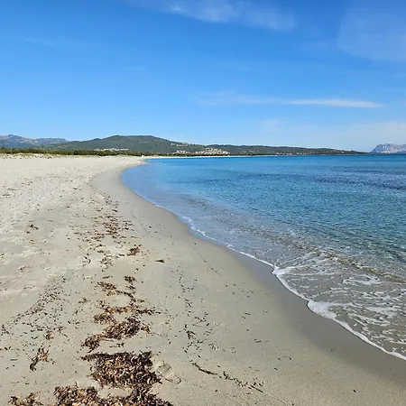 Lägenhet La Flabellina Blu