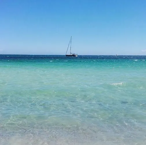 La Flabellina Blu Daire Porto Ottiolu