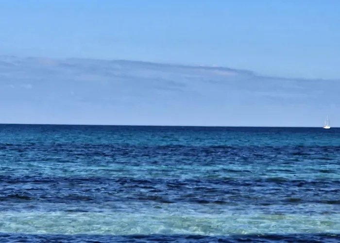 Daire La Flabellina Blu