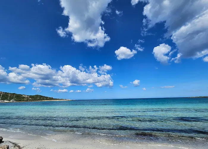 La Flabellina Blu * Porto Ottiolu