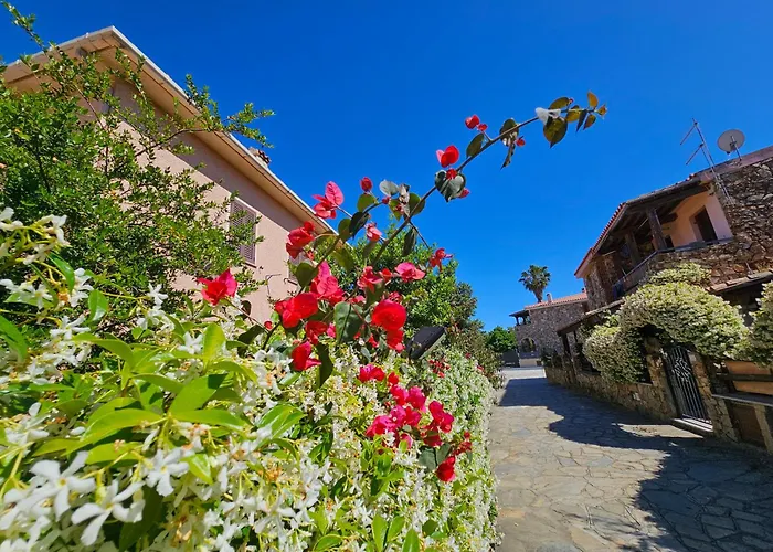 Apartment La Flabellina Blu