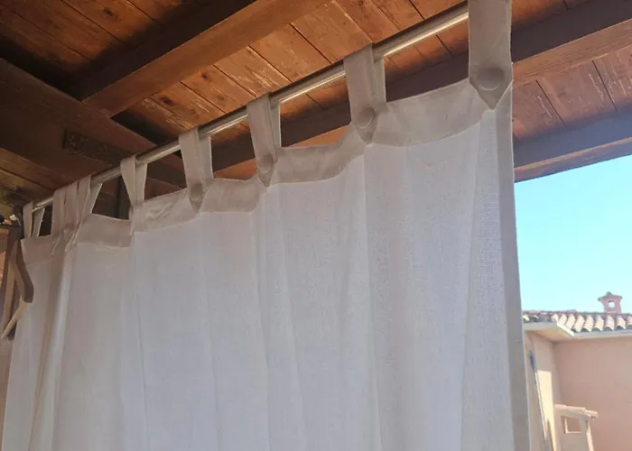 La Flabellina Blu Daire