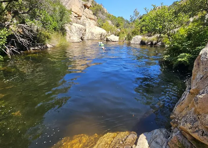 La Flabellina Blu Daire